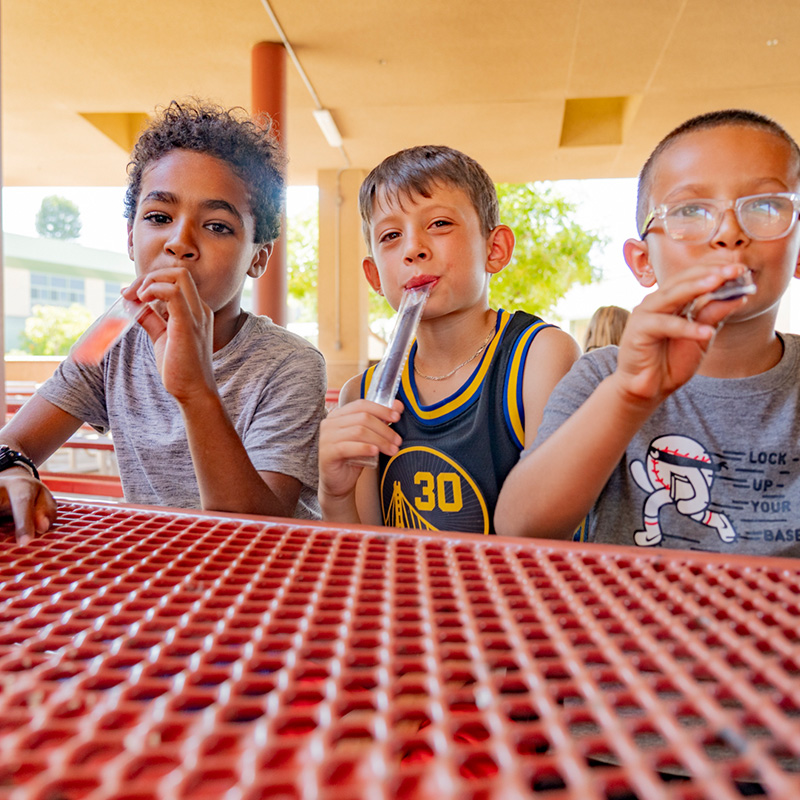 Padres Baseball & Softball Camps - Tinybeans